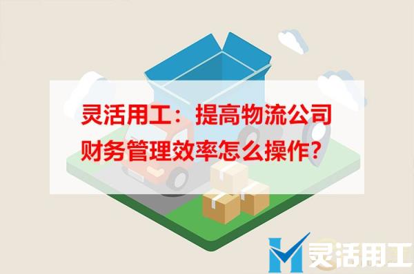 灵活用工：提高物流公司财务管理效率怎么操作？